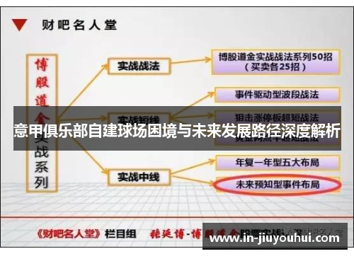 意甲俱乐部自建球场困境与未来发展路径深度解析